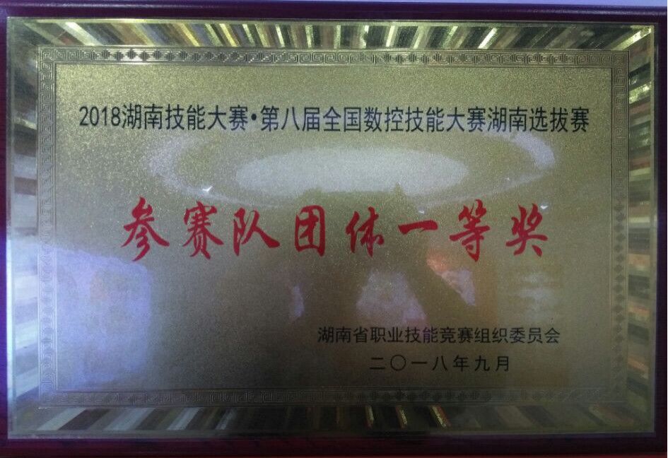第八屆全國(guó)數(shù)控技能大賽湖南選拔賽參賽隊(duì)團(tuán)體一等獎(jiǎng)