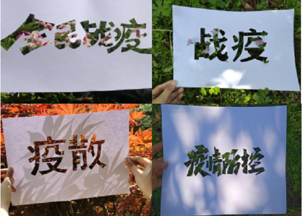 信息系黨總支結(jié)合專業(yè)特點開展疫情防控志愿服務(wù)活動
